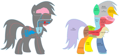 Size: 2200x1023 | Tagged: safe, artist:lukington17, artist:rdibp, character:rainbow dash, fanfic:a small issue, anatomy, city, diagram, fanfic, fanfic art, female, map, simple background, solo, white background, x-ray