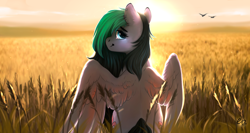Size: 1200x640 | Tagged: safe, artist:empaws, oc, oc only, oc:liz, species:bird, species:pegasus, species:pony, backlit, ear piercing, female, field, food, happy, looking at you, looking back, mare, outdoors, piercing, sitting, smiling, solo, spread wings, wheat, wings