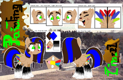 Size: 1054x686 | Tagged: safe, artist:latiapainting, oc, oc only, oc:painting cincel, species:pegasus, species:pony, danger, female, glue, glue factory, ink, original character do not steal, radioactive, reference, reference sheet, solo, thick eyebrows, tricolor wings