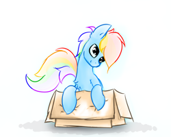 Size: 1280x1024 | Tagged: safe, artist:o0o-bittersweet-o0o, character:rainbow dash, species:pony, box, colored sketch, female, pony in a box, sitting, sketch, smiling, solo