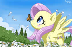 Size: 772x502 | Tagged: safe, artist:vinilyart, character:fluttershy, species:pegasus, species:pony, blush sticker, blushing, butterfly, butterfly on nose, camomile, cute, female, flower, flower field, flower petals, insect on nose, looking at something, looking up, monarch butterfly, profile, scenery, shyabetes, smiling, solo, spread wings, standing, wings