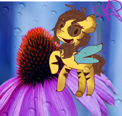 Size: 1024x975 | Tagged: safe, artist:sketchpon, oc, oc:beeatrice, bee pony, female, flower, monster pony, original species, solo