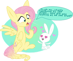 Size: 977x817 | Tagged: safe, artist:blupolicebox, character:angel bunny, character:fluttershy, species:pegasus, species:pony, species:rabbit, ship:angelshy, bucktooth, bunnified, bunnyshy, dialogue, female, fluffy tail, heart, heart eyes, long ears, male, oh my, paws, shipping, simple background, species swap, speech bubble, straight, transformation, transparent background, whiskers, wingding eyes