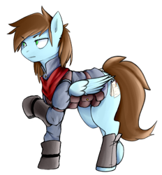 Size: 772x833 | Tagged: safe, artist:cokesleeve, oc, oc:sorren, species:pegasus, species:pony, clothing, male, simple background, solo, stallion, transparent background