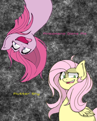 Size: 1200x1500 | Tagged: safe, artist:destroyer_aky, character:fluttershy, character:pinkamena diane pie, character:pinkie pie, species:earth pony, species:pegasus, species:pony, duo, female, looking at you, mare