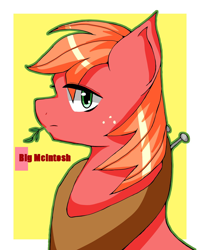 Size: 1200x1500 | Tagged: safe, artist:destroyer_aky, character:big mcintosh, species:earth pony, species:pony, bust, looking at you, male, pixiv, portrait, solo, stallion, straw in mouth