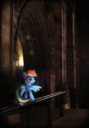 Size: 567x816 | Tagged: safe, artist:twodeepony, character:rainbow dash, species:pegasus, species:pony, animated, cathedral, cinemagraph, female, flickering lights, irl, mare, no sound, photo, ponies in real life, railing, solo, webm