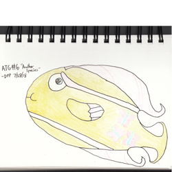 Size: 2000x2000 | Tagged: safe, artist:deluxeflame, character:fluttershy, newbie artist training grounds, ambiguous gender, atg 2018, colored pencil drawing, fish, flutterfish, solo, species swap, traditional art, transformed