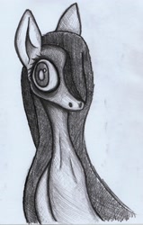Size: 2183x3430 | Tagged: safe, artist:unhappy893, species:earth pony, species:pony, bust, portrait, solo, traditional art