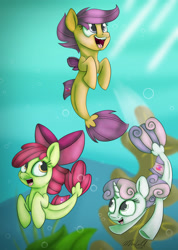 Size: 1889x2659 | Tagged: safe, artist:mcmeg29, character:apple bloom, character:scootaloo, character:sweetie belle, species:seapony (g4), episode:surf and/or turf, g4, my little pony: friendship is magic, adorabloom, bow, cute, cutealoo, cutie mark crusaders, diasweetes, female, mane bow, sea-mcs, seaponified, seapony apple bloom, seapony scootaloo, seapony sweetie belle, species swap, underwater