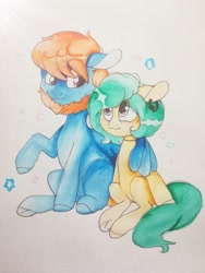 Size: 1620x2160 | Tagged: safe, artist:aliceub, oc, oc only, species:earth pony, species:pegasus, species:pony, beard, duo, facial hair, hug, simple background, traditional art, white background, winghug