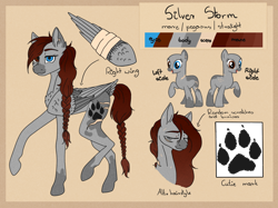 Size: 1000x747 | Tagged: safe, artist:clarissa0210, oc, oc:silver storm, species:pegasus, species:pony, female, mare, reference sheet, scar, solo