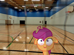 Size: 500x375 | Tagged: safe, artist:anthony60617, character:scootaloo, species:pony, episode:sleepless in ponyville, g4, my little pony: friendship is magic, basketball net, bloodshot eyes, creepy face, floppy ears, gym, irl, photo, ponies in real life, school, solo