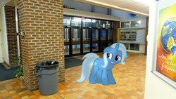 Size: 500x281 | Tagged: safe, artist:anthony60617, character:trixie, species:pony, species:unicorn, garbage bin, inside, interior, irl, montreal, photo, ponies in real life, school, école secondaire anjou