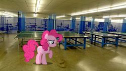 Size: 500x281 | Tagged: safe, artist:anthony60617, character:pinkie pie, species:earth pony, species:pony, cutie mark, fitness room, inside, irl, photo, ping pong table, school, smiling