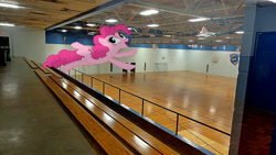 Size: 500x281 | Tagged: safe, artist:anthony60617, character:pinkie pie, species:pony, bench, gym, happy, irl, jumping, lions anjou, montreal, photo, ponies in real life, school, école secondaire anjou