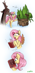 Size: 1378x2798 | Tagged: safe, artist:zlayd-oodles, character:discord, character:fluttershy, species:draconequus, species:pegasus, species:pony, ship:discoshy, book, comic, diy, engrish in the description, female, for dummies, looking at something, male, mare, open mouth, present, shipping, smiling, straight