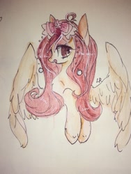 Size: 960x1280 | Tagged: safe, artist:lity, species:pegasus, species:pony, open mouth, solo, traditional art