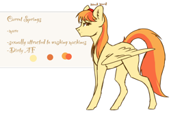 Size: 2048x1536 | Tagged: safe, artist:rosebudthevampiremar, oc, oc only, oc:carrot spring, species:pony