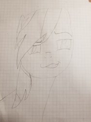 Size: 1536x2048 | Tagged: safe, artist:klutyzdragon, character:rainbow dash, species:pony, female, graph paper, grid paper, lined paper, pencil drawing, solo, traditional art