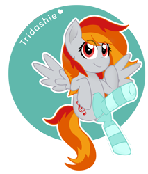 Size: 4189x4919 | Tagged: safe, artist:superanina, oc, oc only, oc:tridashie, species:pegasus, species:pony, abstract background, circle background, clothing, cute, eye clipping through hair, female, heart, mare, ocbetes, socks, solo, spread wings, striped socks, wings