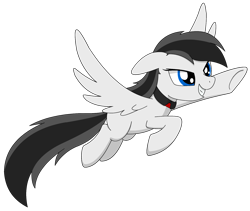 Size: 1749x1479 | Tagged: safe, artist:lonebigcity, oc, oc:mirny angara, species:pegasus, species:pony, collar, female, flying, simple background, solo, transparent background