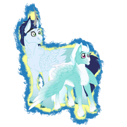Size: 2360x2360 | Tagged: safe, artist:xxhuntersguardianxx, character:fleetfoot, character:soarin', species:pegasus, species:pony, fanfic:piercing the heavens, artificial horn, coat markings, duo, fanfic art, female, fluffy, male, mare, raised eyebrow, simple background, smiling, stallion, transparent background, unshorn fetlocks