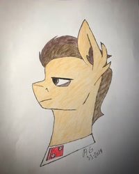 Size: 2698x3372 | Tagged: safe, artist:biergarten13, species:pony, fallout equestria, royal equestrian army, solo, traditional art