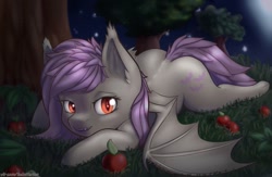 Size: 1280x832 | Tagged: safe, artist:kelniferion, character:flutterbat, character:fluttershy, species:bat pony, species:pony, apple, bat ponified, bat wings, fangs, female, food, looking at you, mare, night, open mouth, prone, race swap, red eyes, solo, spread wings, three quarter view, under the tree, wings