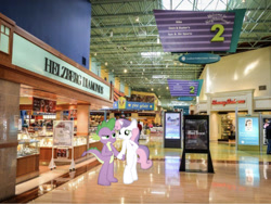 Size: 641x483 | Tagged: safe, artist:hoodie-stalker, edit, editor:undeadponysoldier, character:spike, character:sweetie belle, species:dragon, species:human, species:pony, species:unicorn, ship:spikebelle, concord mills mall, date, dragons in real life, female, filly, followup, helzburg diamonds, hoof on hip, irl, irl human, jewelry store, male, mall, mare, older, older spike, older sweetie belle, photo, pino gelato, pointing, ponies in real life, semi-anthro, shipping, sign, straight