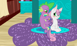 Size: 1900x1150 | Tagged: safe, artist:augustraes, character:spike, character:sweetie belle, species:dragon, species:pony, species:unicorn, ship:spikebelle, blushing, brushie, cute, drawer, dresser, female, filly, gentleman, grooming, happy, impossibly large ears, interspecies, looking back, male, rug, shipping, sitting on tail, smiling, straight, tailchair