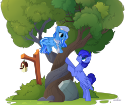 Size: 3190x2655 | Tagged: safe, artist:unichan, oc, oc only, oc:mecha-den, oc:skyberry delight, species:pegasus, species:pony, bird house, blue coat, bush, clothing, hat, intertwined trees, leaves, looking at each other, nurse hat, rock, scarf, simple background, smiling, transparent background, tree, wings, ych result