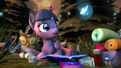 Size: 3840x2160 | Tagged: safe, artist:alicorntwilysparkle, character:owlowiscious, character:twilight sparkle, character:twilight sparkle (alicorn), species:alicorn, species:bird, species:owl, species:pony, 3d, bags, book, butterfly, duo, forest, hot drink, open mouth, revamped ponies, scroll, source filmmaker, steam
