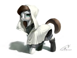 Size: 1024x768 | Tagged: safe, artist:louislithium, oc, oc only, species:earth pony, species:pony, boots, cloak, clothing, shoes, solo, sweater