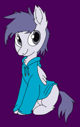 Size: 652x1024 | Tagged: safe, artist:danksailor, oc, oc:lofty withers, species:pony, chest fluff, clothing, cute, sweater