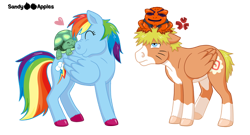 Size: 600x323 | Tagged: safe, artist:sandy--apples, character:rainbow dash, character:tank, species:pony, gamakichi, naruto, ponified