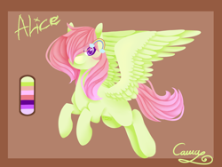 Size: 1600x1200 | Tagged: safe, artist:sugarponypie, oc, oc only, oc:alice, species:pegasus, species:pony, abstract background, female, flying, hairpin, looking at you, mare, rainbow, reference sheet, request, solo, spread wings, wings