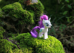 Size: 1680x1200 | Tagged: safe, artist:aquilateagle, character:rarity, species:pony, species:unicorn, doll, female, forest, irl, messy mane, moss, photo, toy