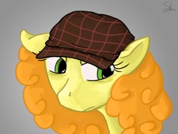 Size: 900x676 | Tagged: safe, artist:theslendid, character:carrot top, character:golden harvest, species:earth pony, species:pony, clothing, female, hat, mare, solo