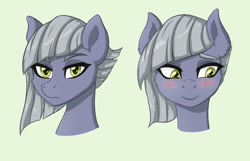 Size: 1024x658 | Tagged: safe, artist:nathayro37, character:limestone pie, species:pony, blushing, bust, cheek fluff, cute, ear fluff, female, limabetes, looking at you, mare, portrait, smiling, solo, when she smiles