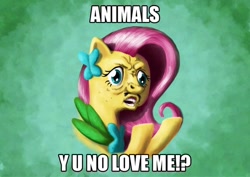 Size: 900x638 | Tagged: safe, artist:br0ny, character:fluttershy, species:pegasus, species:pony, episode:the best night ever, g4, my little pony: friendship is magic, bust, caption, clothing, costume, dress, faec, female, gala dress, image macro, impact font, meme, solo, text, y u no