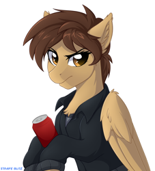 Size: 2054x2260 | Tagged: safe, artist:strafe blitz, oc, oc only, species:pegasus, species:pony, can, chest fluff, clothing, equine, semi-anthro, simple background, solo, white background