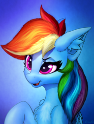 Size: 1300x1700 | Tagged: safe, artist:xeniusfms, character:rainbow dash, species:pegasus, species:pony, chest fluff, digital art, ear fluff, female, mare, smiling, solo
