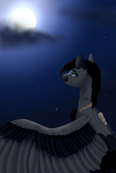 Size: 1024x1520 | Tagged: safe, artist:clarissa0210, oc, oc:silver storm, species:pegasus, species:pony, female, mare, moon, simple background, solo, transparent background