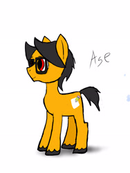 Size: 2448x3264 | Tagged: safe, artist:a.s.e, oc, oc:a.s.e, species:pony, glasses, male, simple background, solo, stallion, white background