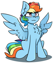 Size: 900x1080 | Tagged: safe, artist:pointdelta, character:rainbow dash, species:pegasus, species:pony, chest fluff, cute, dashabetes, eyebrows, female, fluffy, mare, simple background, sitting, spread wings, transparent background, wings