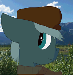 Size: 1567x1596 | Tagged: safe, artist:derpy_the_duck, oc, oc:millie, species:earth pony, species:pony, clothing, hat, photo, solo