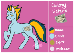 Size: 2000x1435 | Tagged: source needed, safe, artist:fishtoonz, oc, oc:cauldroy waters, species:pony, male, reference sheet, solo, stallion