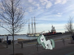 Size: 3264x2448 | Tagged: safe, artist:mrkupkake, edit, editor:topsangtheman, character:marble pie, species:pony, canada, harbor, irl, looking at you, photo, ponies in real life, ship, solo