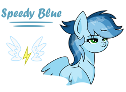 Size: 2861x2096 | Tagged: safe, artist:soarindash10, oc, oc only, oc:speedy blue, parent:rainbow dash, parent:soarin', parents:soarindash, species:pony, cutie mark, from above, lidded eyes, next generation, offspring, pegasus oc, simple background, solo, wings
